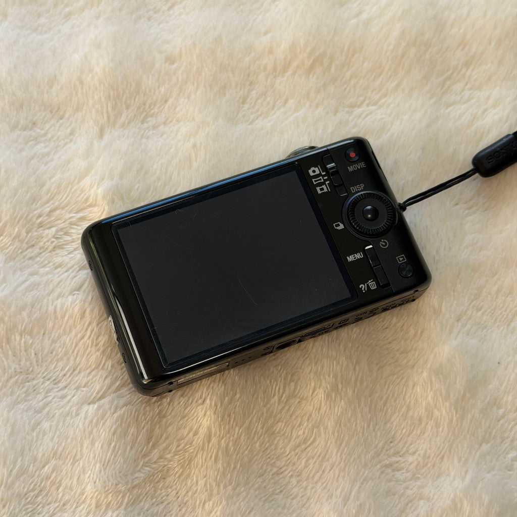 Sony Cyber-shot DSC-WX100