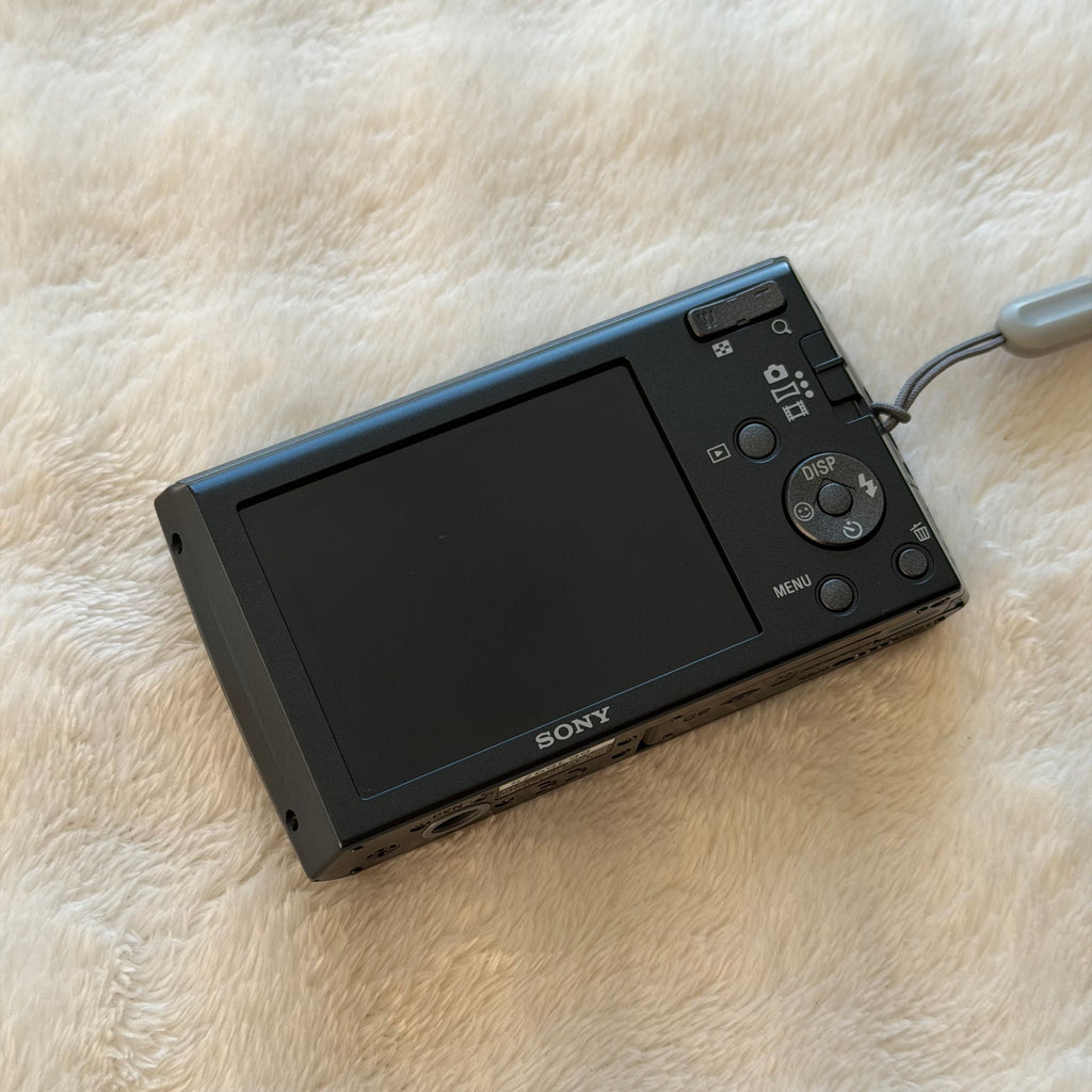 Sony Cyber-shot DSC-W510